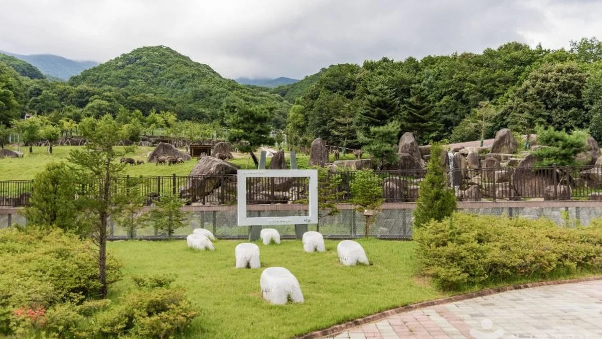 양구 산양·사향노루센터