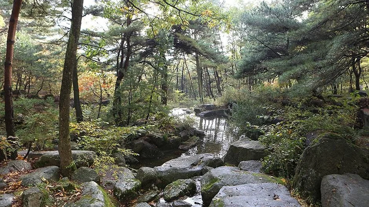 비슬산군립공원