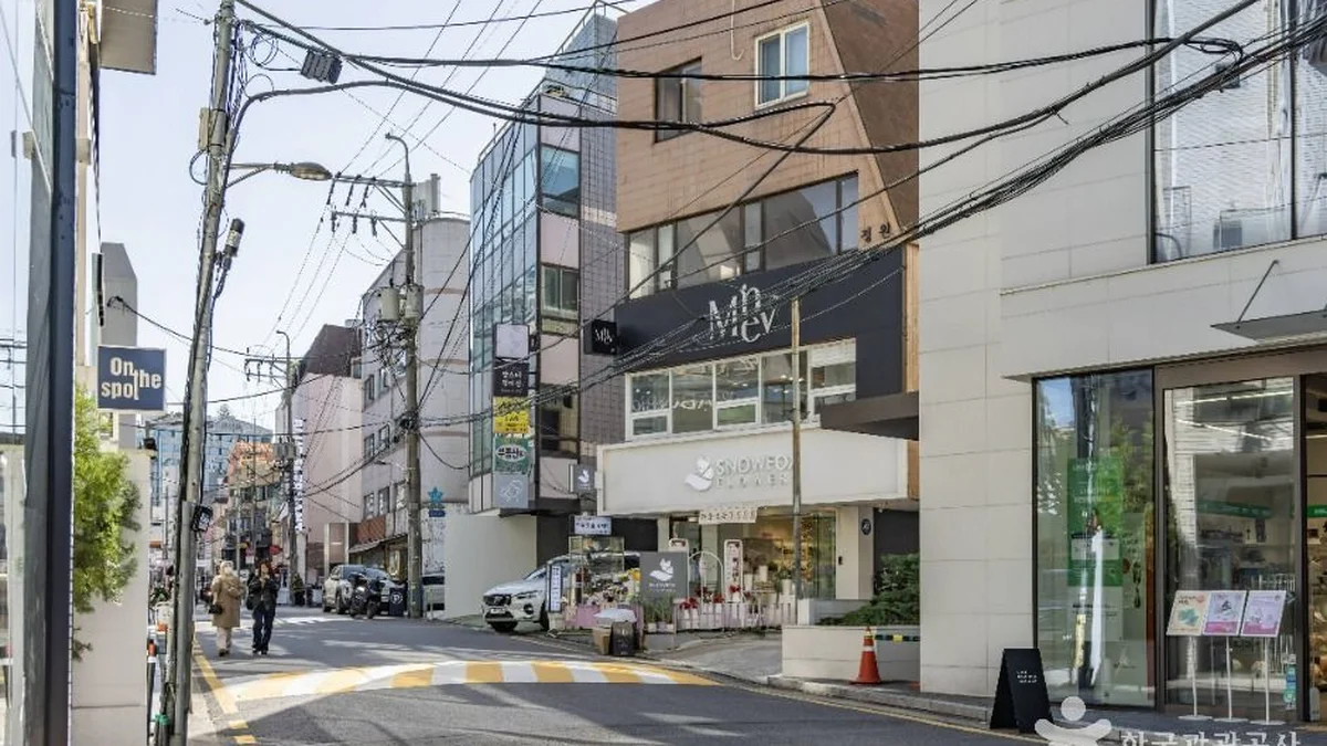 신사동 가로수길