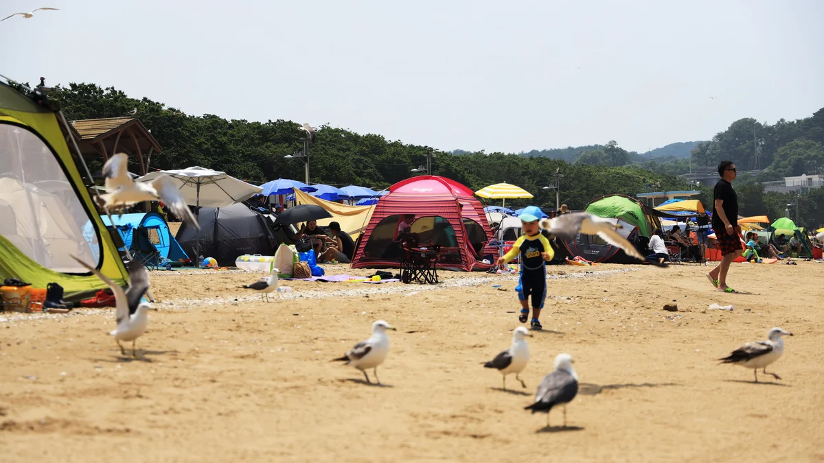 십리포해수욕장 야영장