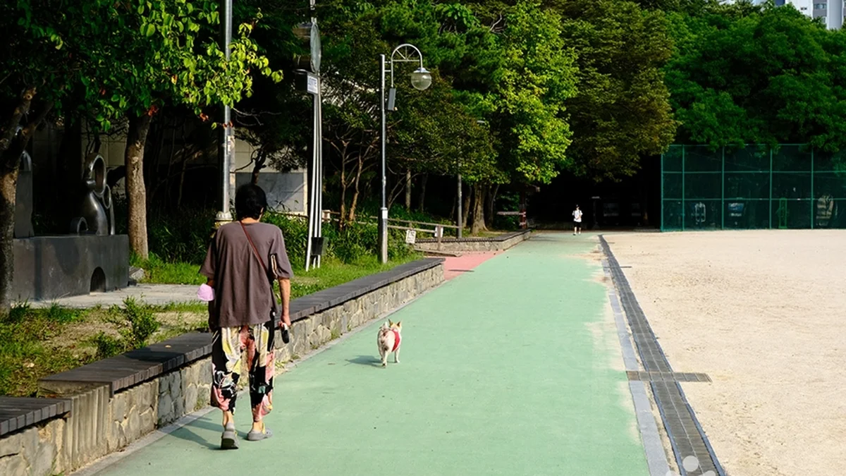 노해체육공원