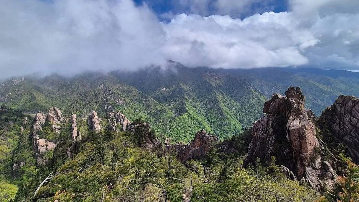 설악산 흘림골