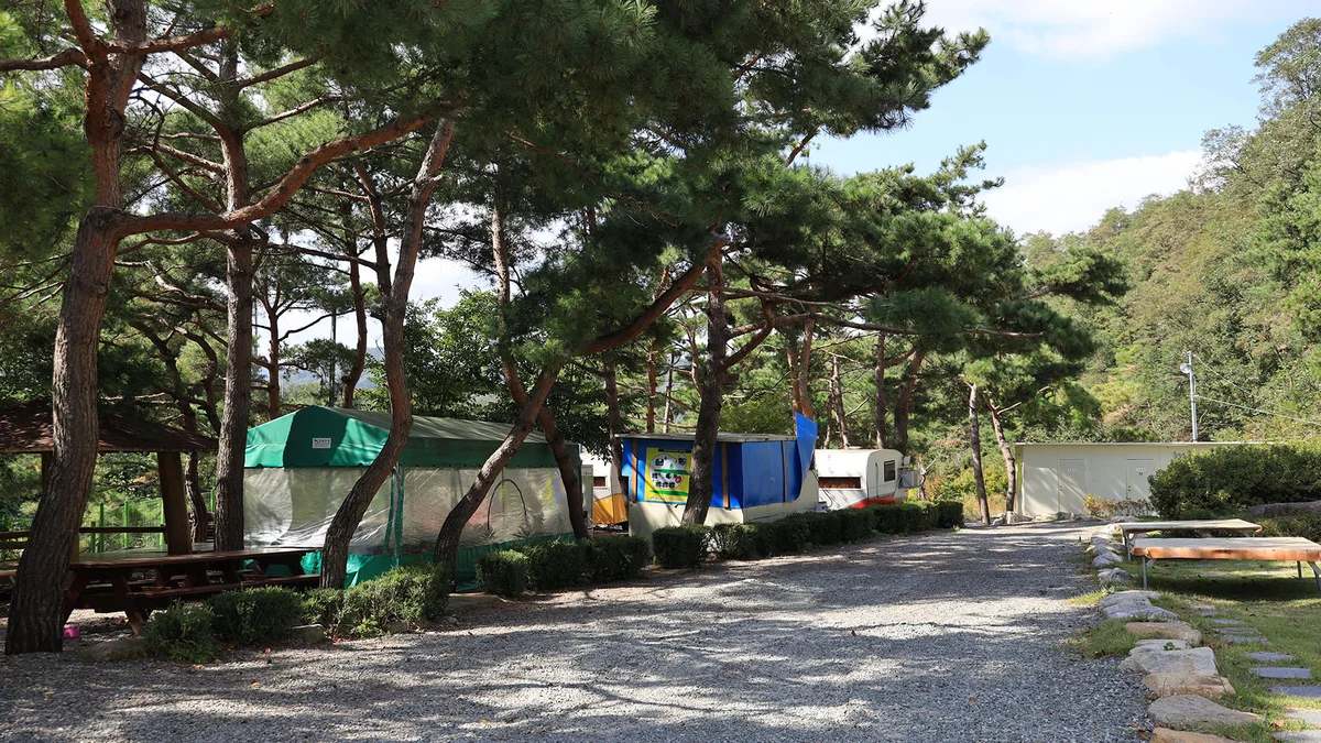동산계곡 야영장