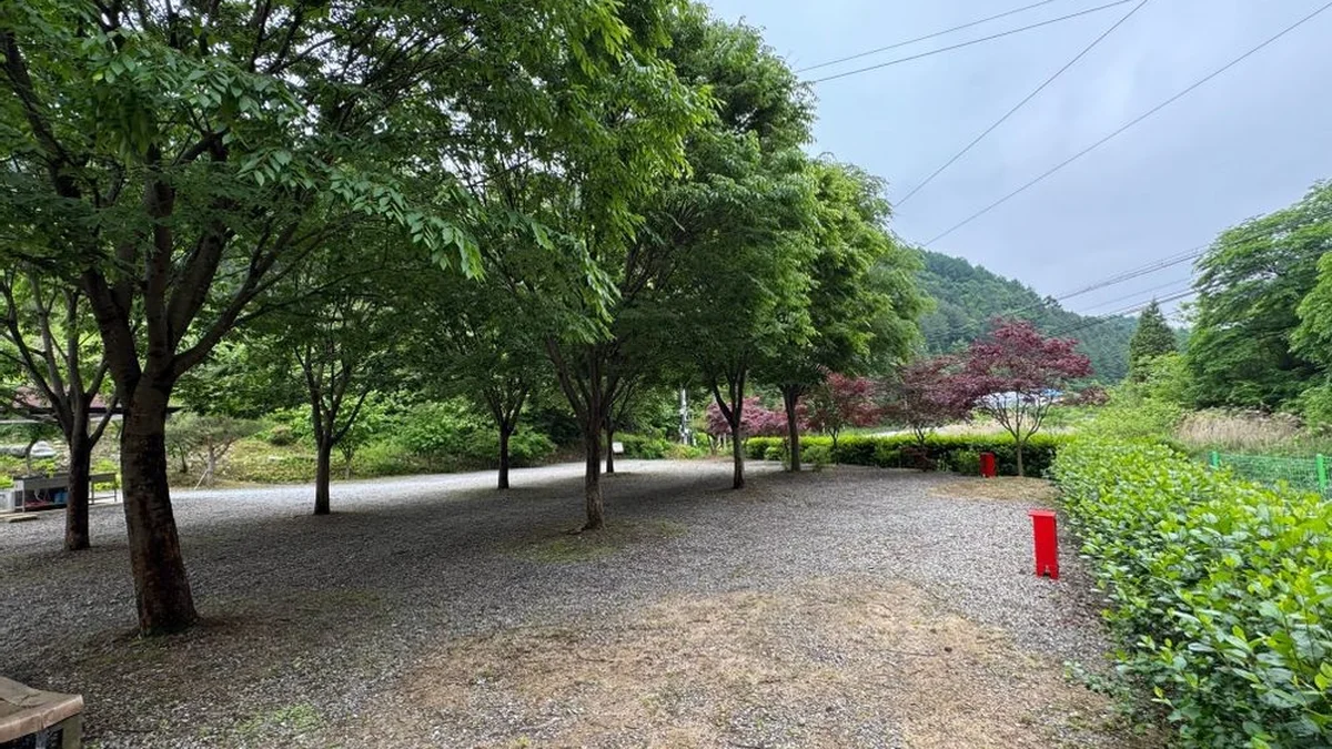 명마동 캠핑장