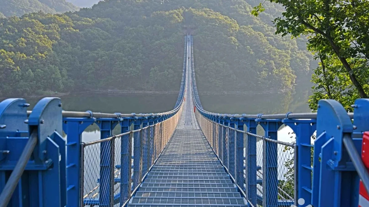 미르숲