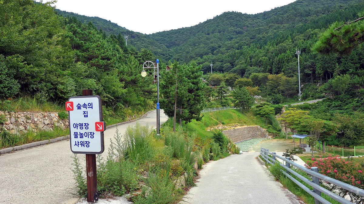 봉황산자연휴양림 야영장