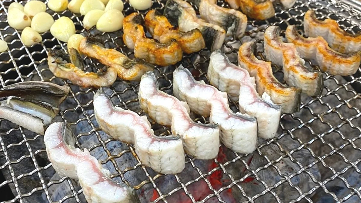 왕의장어