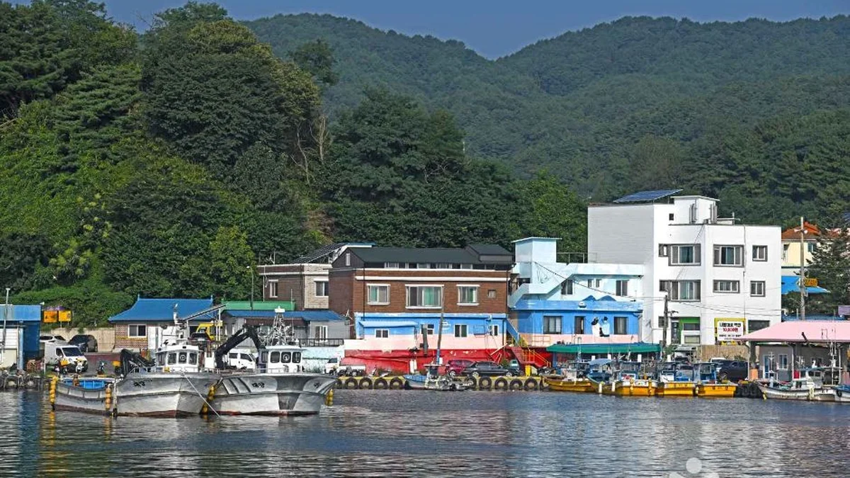대진항