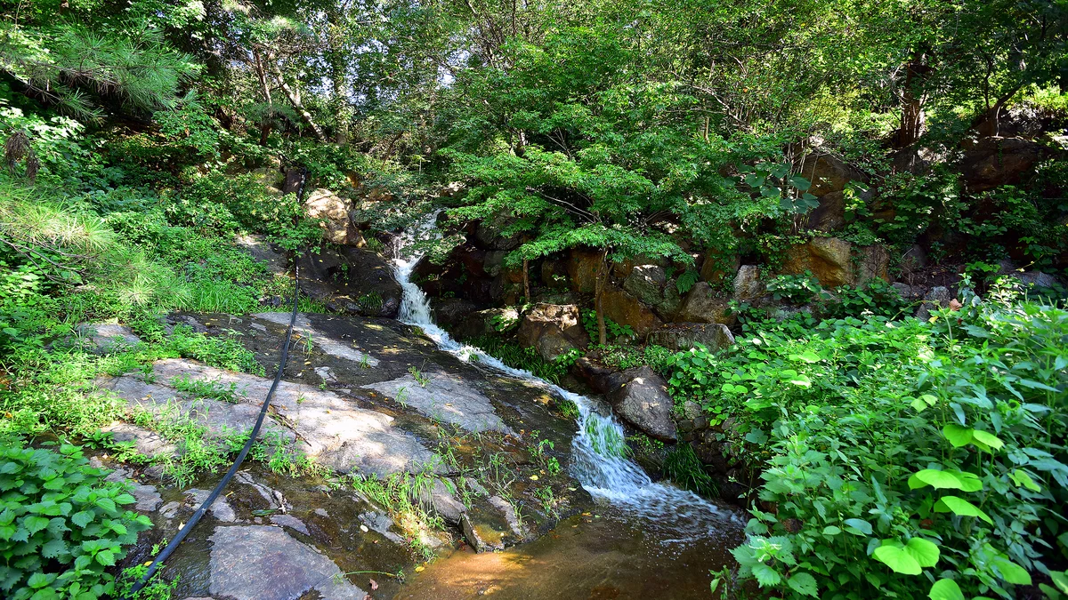 섬지야영장