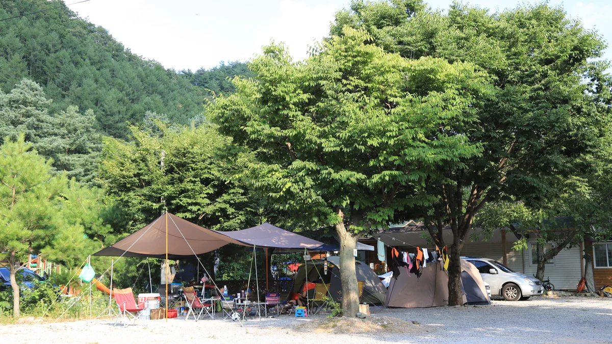 영월계곡 느티별캠핑장