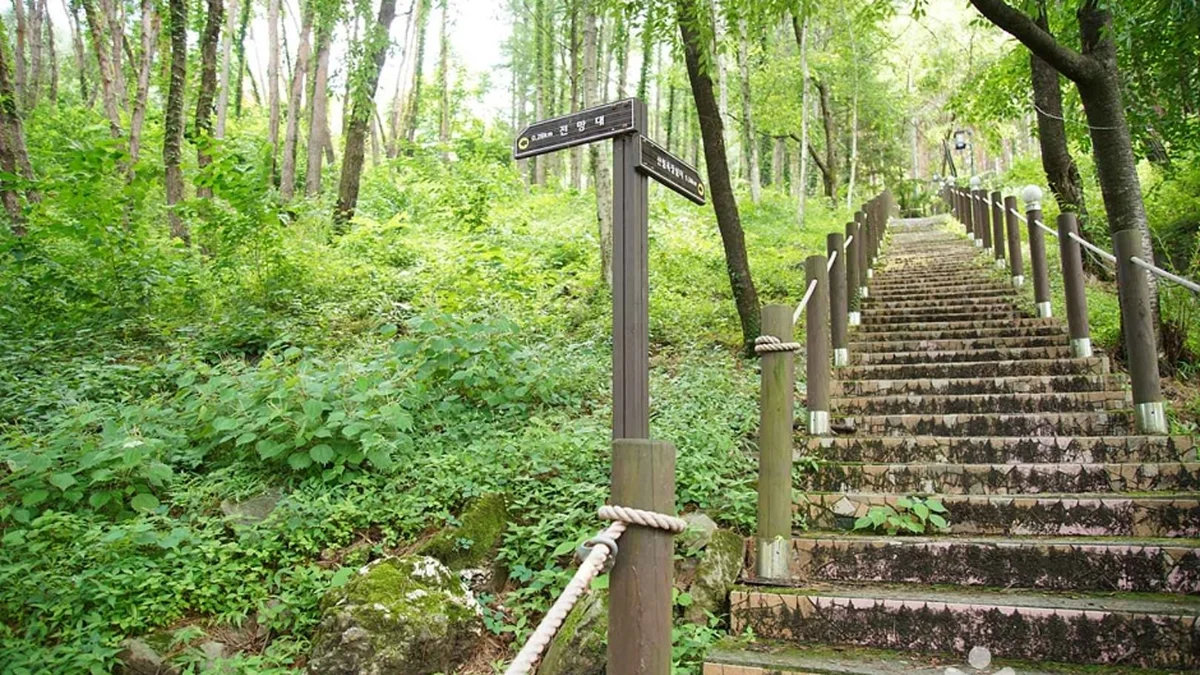 조양산(정선)