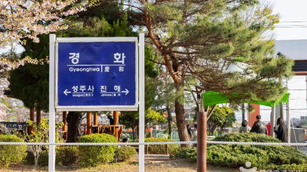 경화역 벚꽃길