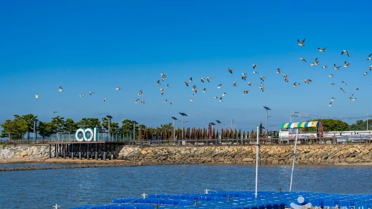 백미항