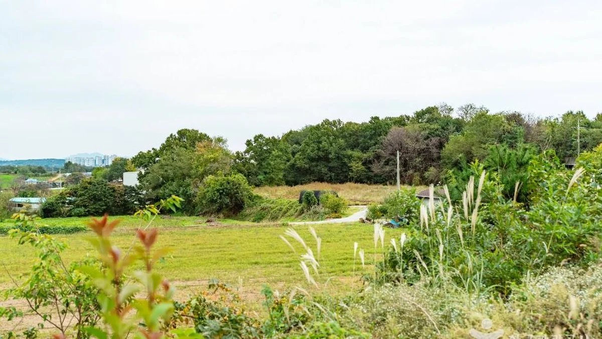 삽교호놀이동산