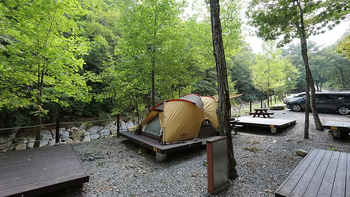 황정산자연휴양림야영장