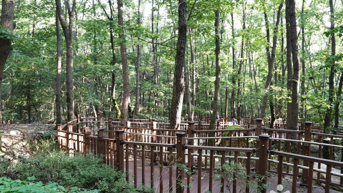 삼성산산림욕장