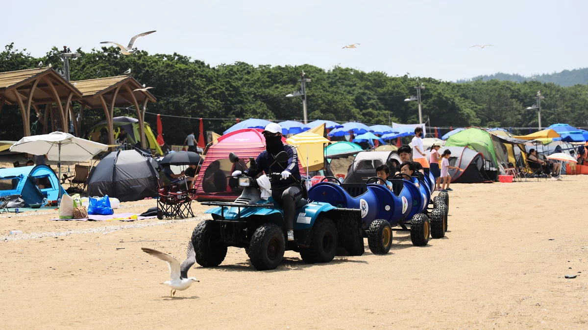 십리포해수욕장 야영장