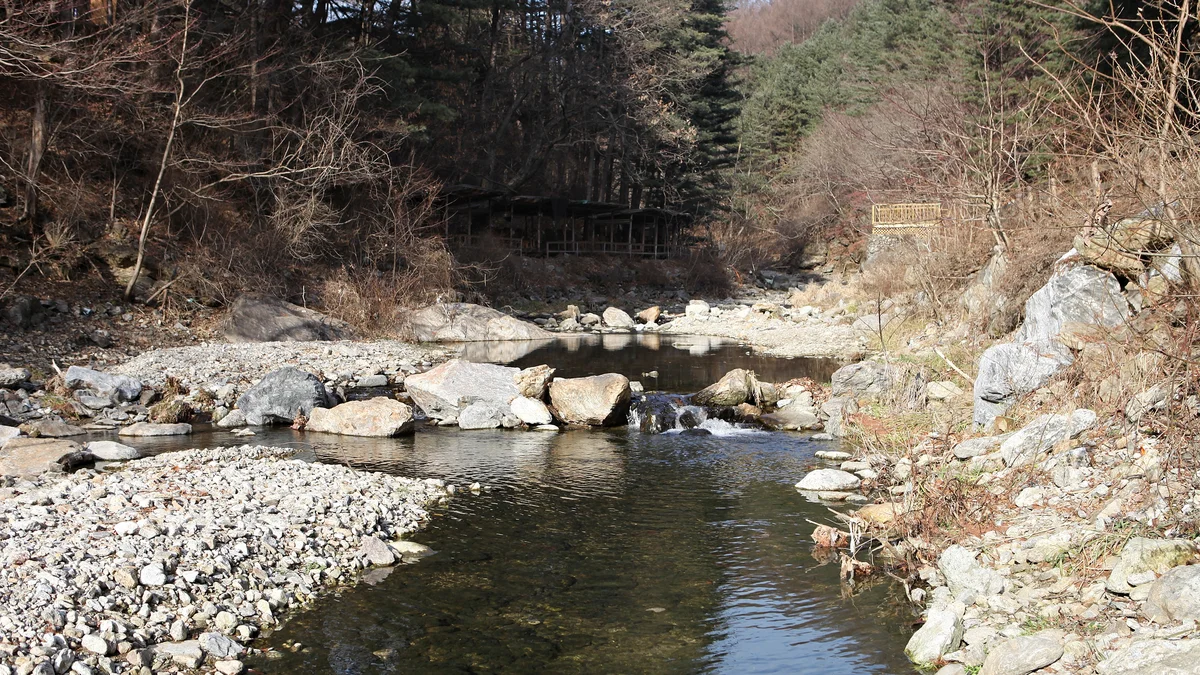 (주)수동자연마을 힐링별밤수목원캠핑장