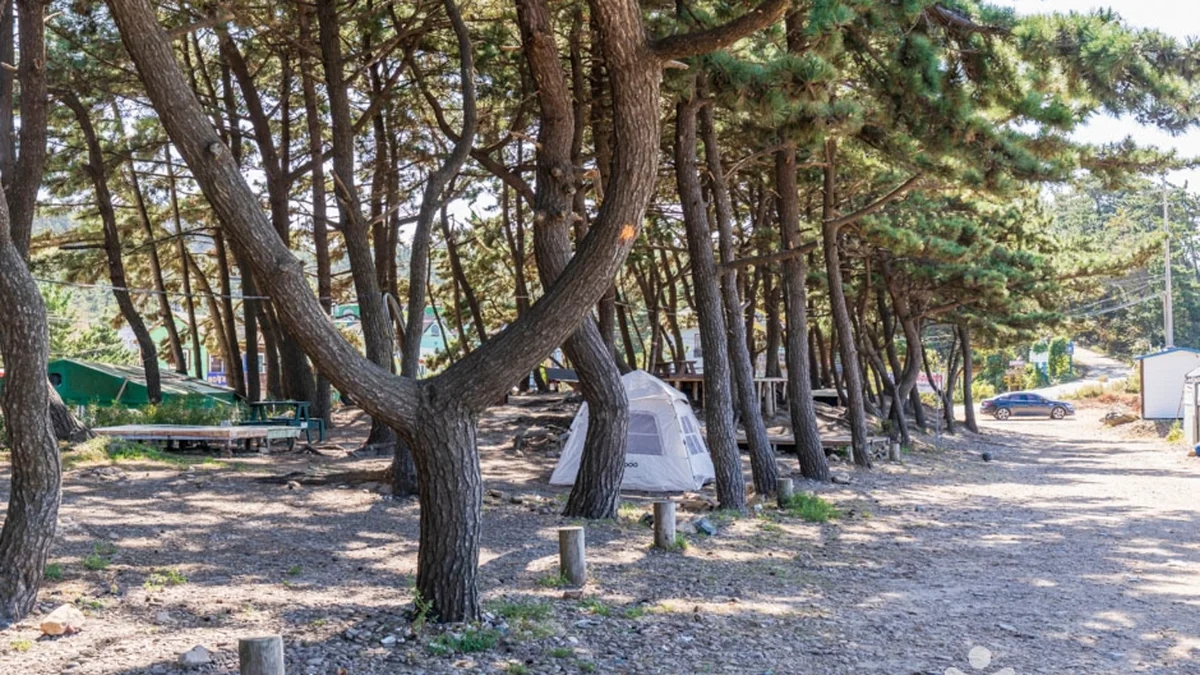 샛별해수욕장
