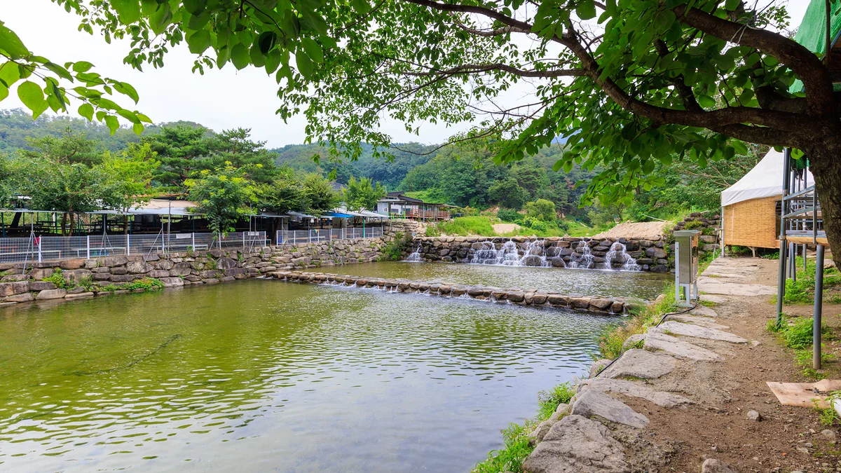 팔공 쉼터 야영장