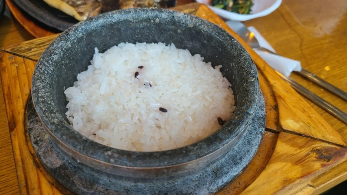 멸치부터 고래까지