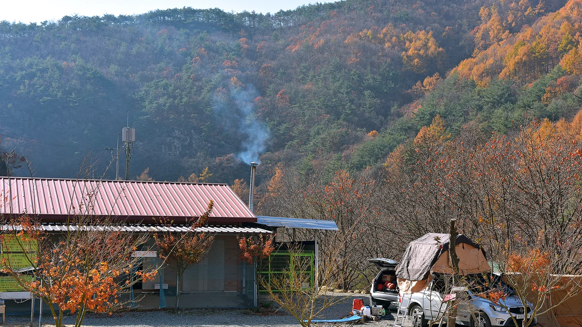 숲이조아캠핑장