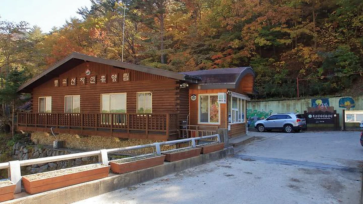 통고산 자연휴양림야영장