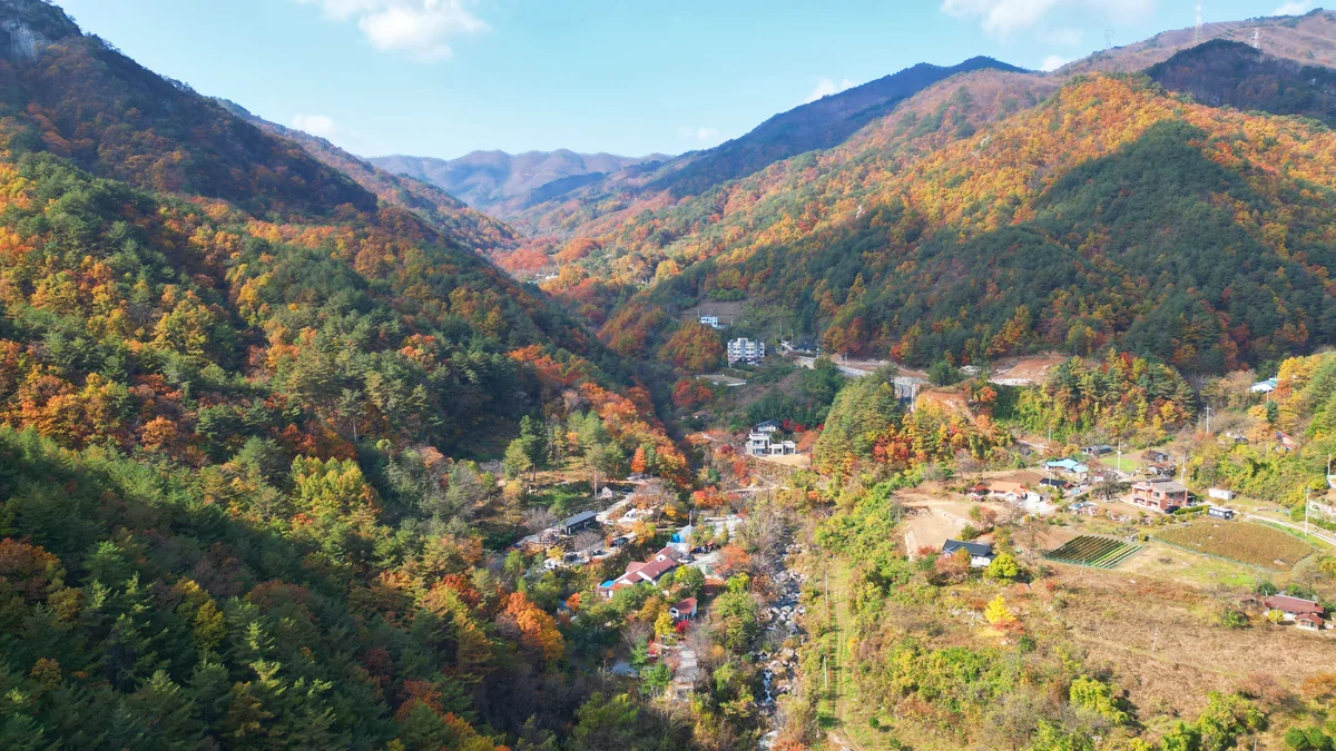 정원캠핑장