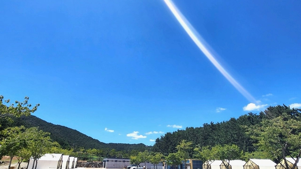 주식회사 웰니스