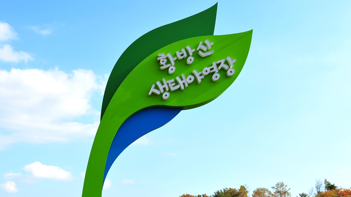 황방산생태야영장