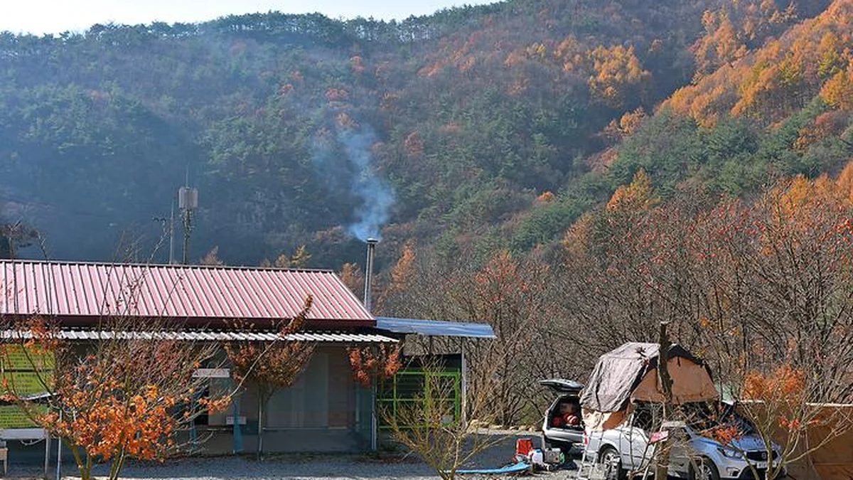 숲이조아캠핑장