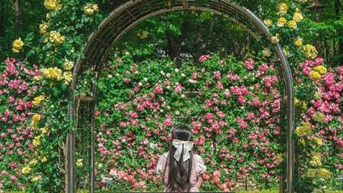 이곡장미공원