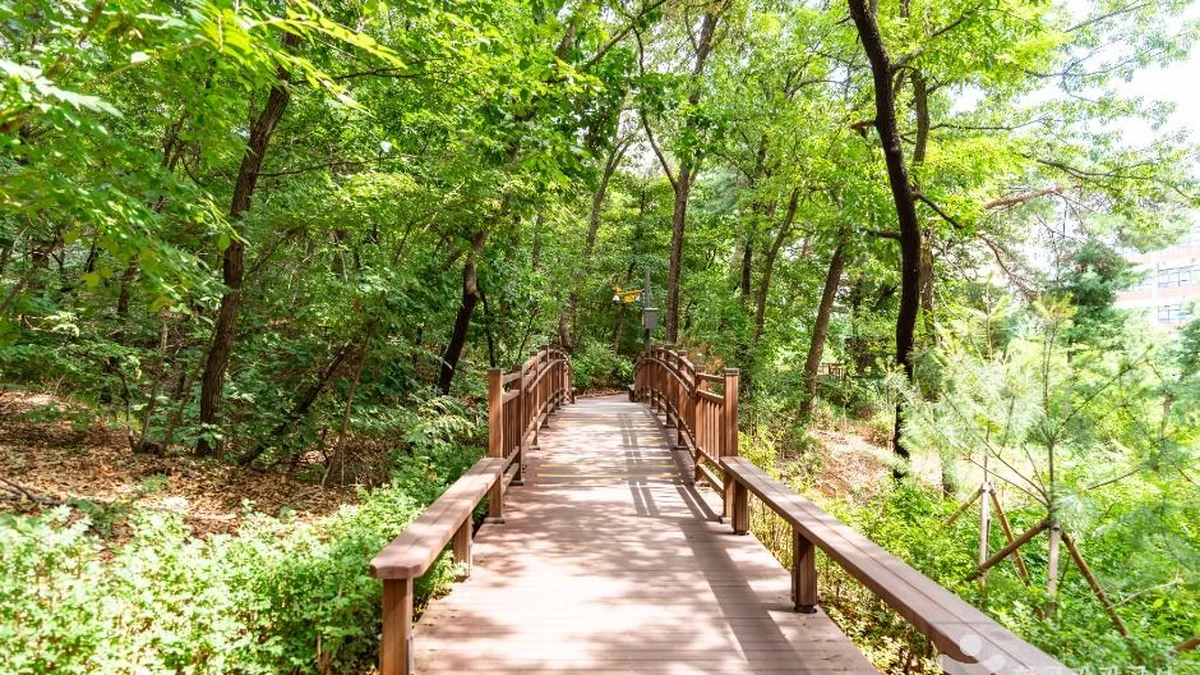 오금공원