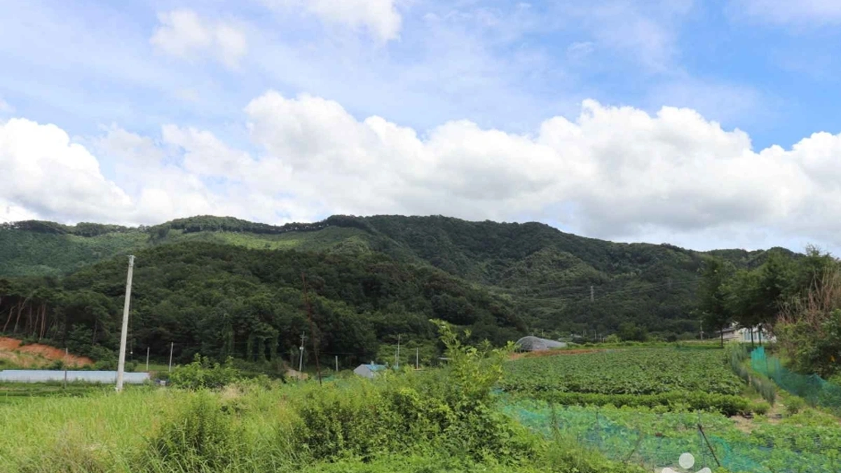 구녀산