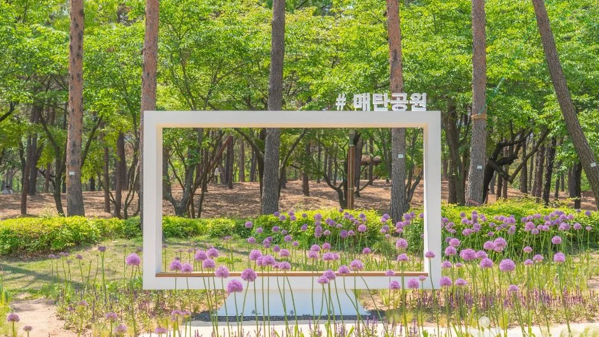 매탄공원