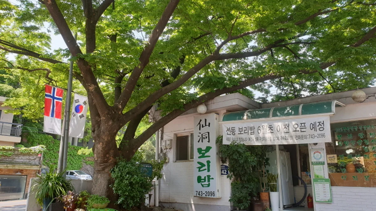 선동보리밥