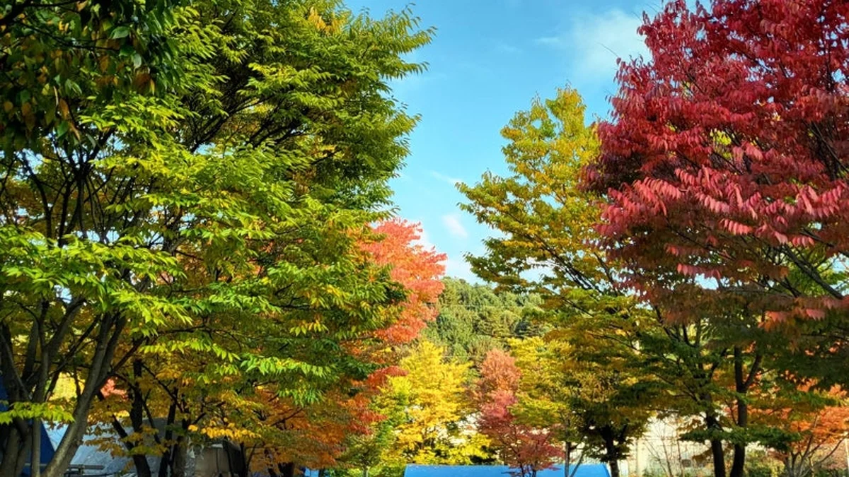 하오재캠핑장