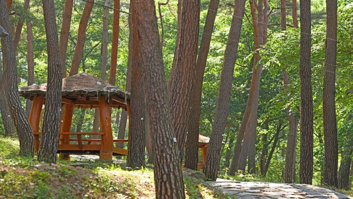 만수산자연휴양림
