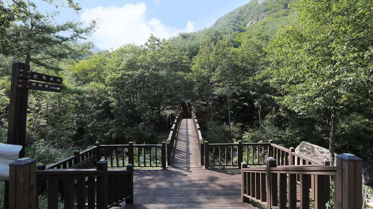 황정산자연휴양림야영장