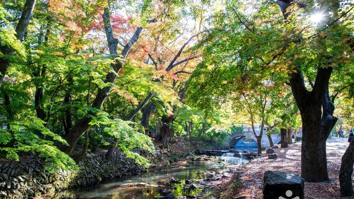 도솔계곡(선운산)