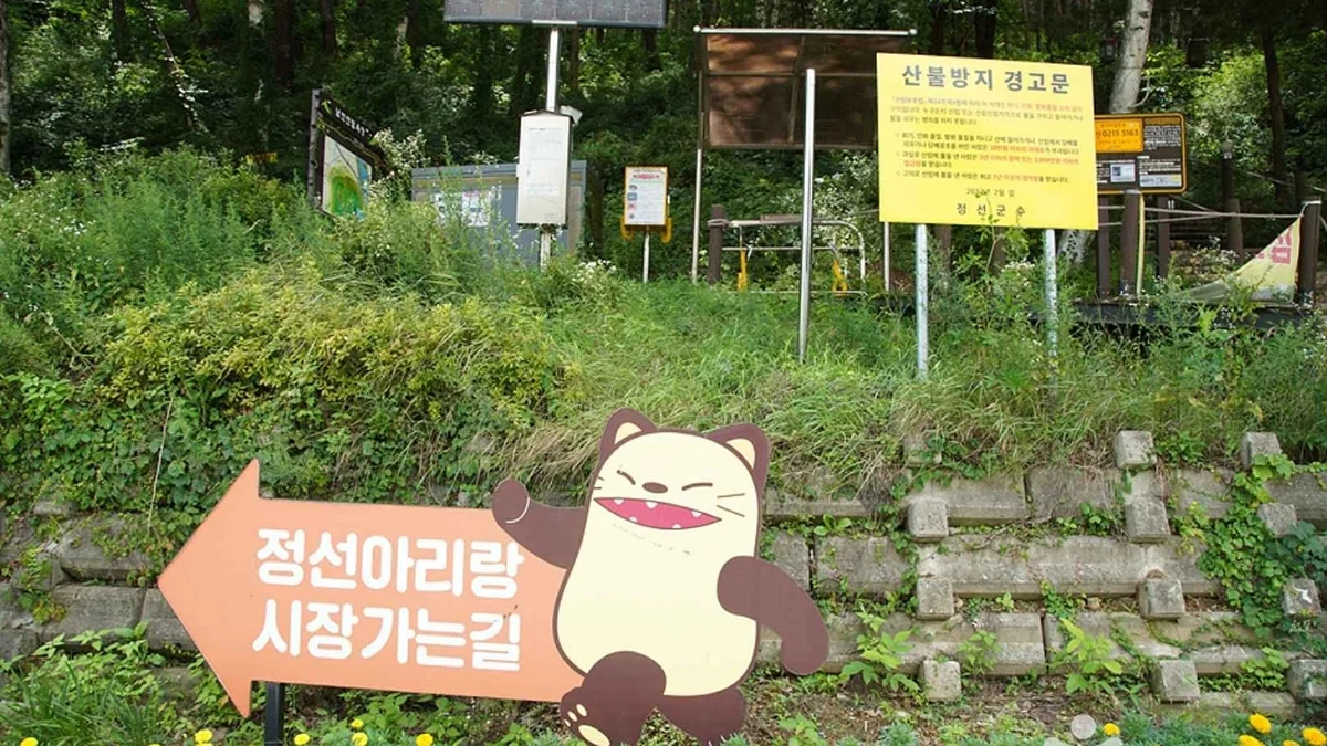 조양산(정선)