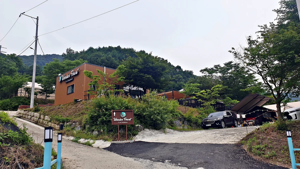 원더 포레스트