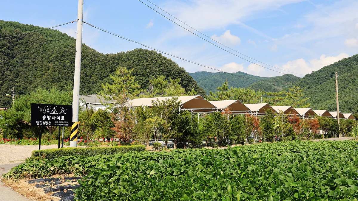 올캠프(ALL camp)