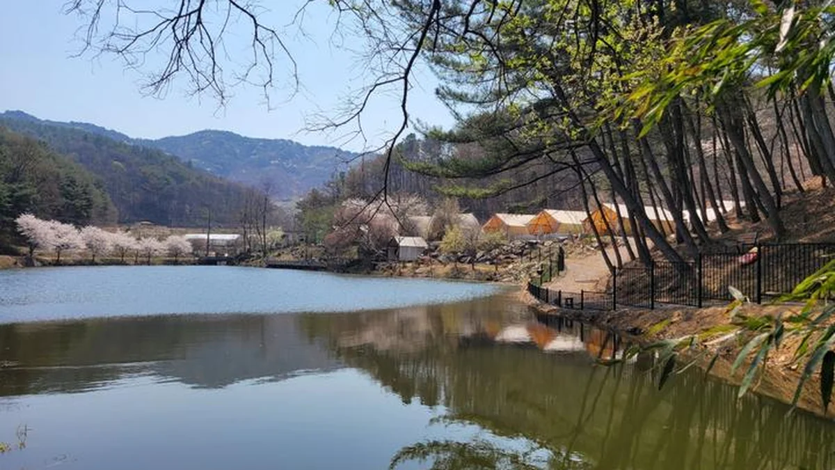 판앤팜 치유정원