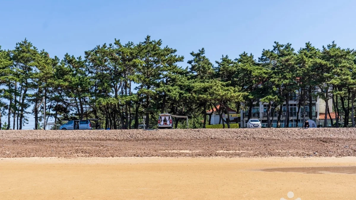 샛별해수욕장