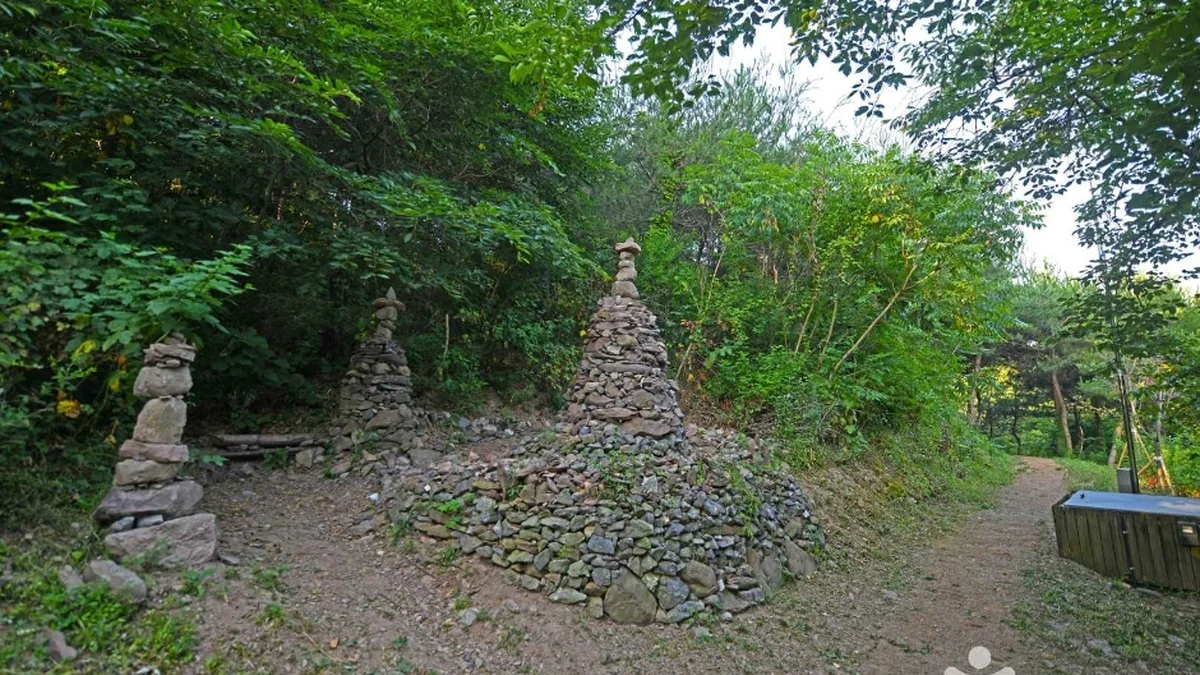 미르숲