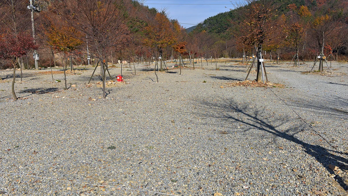 숲이조아캠핑장