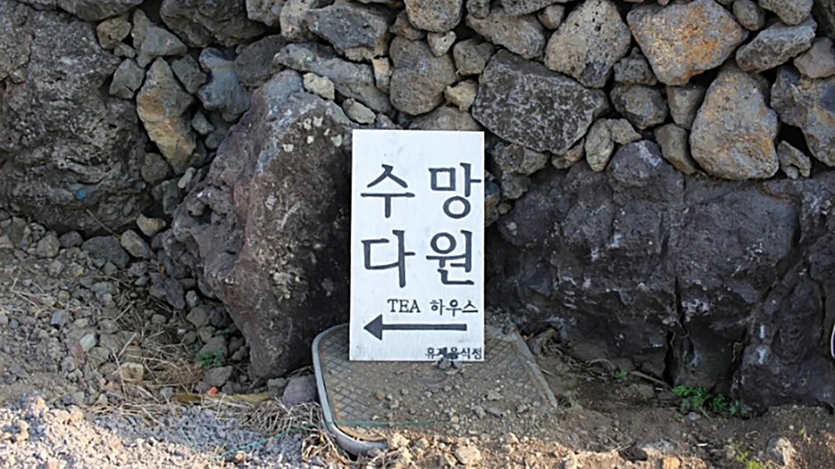 수망다원