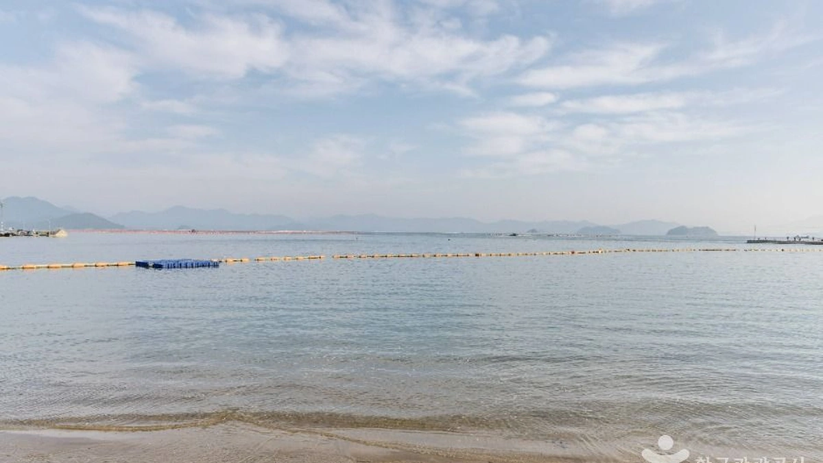 대항해수욕장