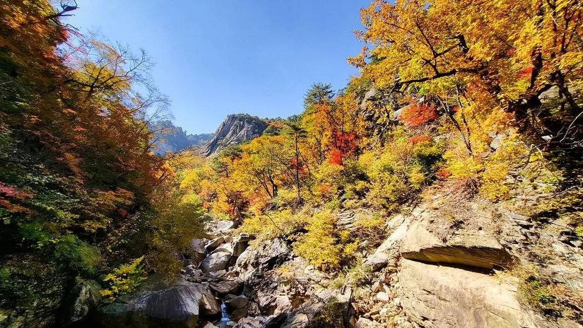 설악산 흘림골